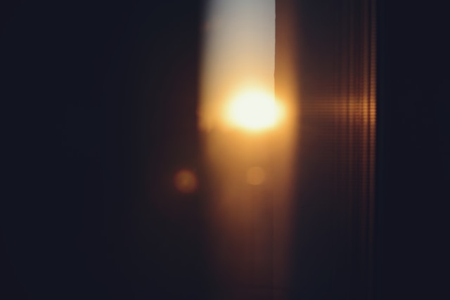 Poranne światło ustawia rytm dobowy